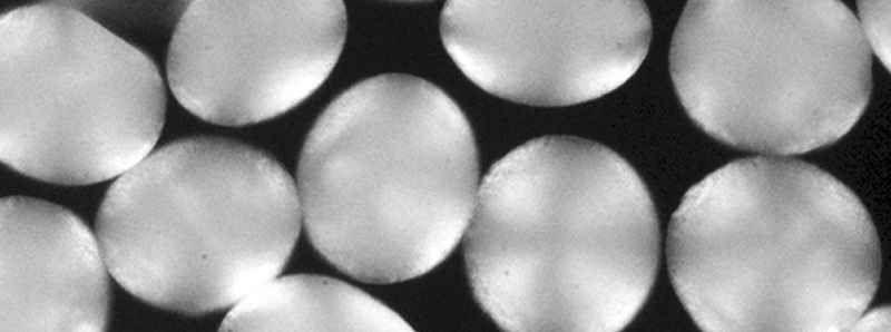 Piattaforma di idrogel per la somministrazione di farmaci